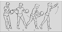 Description : Description : Description : Description : volley 83